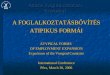 A FOGLALKOZTATÁSBŐVÍTÉS ATIPIKUS FORMÁI ATYPICAL FORMS  OF EMPLOYMENT EXPANSION