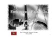 Embargos a Execução ◊ Exceção de  Pré-executividade Prof. Marcelo Alvares Vicente 04/12/2006