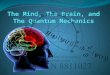 The Mind, The Brain, and The Quantum Mechanics