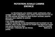 ROTATION AXIALE CANINE ENONCE