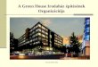 A Green House Irodaház építésének Organizációja
