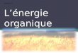 L’énergie organique