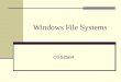 Windows File Systems