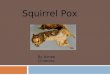 Squirrel Pox