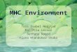 MHC Environment