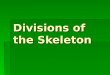 Divisions of the Skeleton