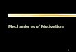 Mechanisms of Motivation