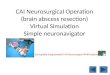 CAI Neurosurgical Operation (brain abscess resection) Virtual Simulation Simple  neuronavigator