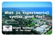 What is experimental syntax good for?