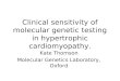 Clinical sensitivity of molecular genetic testing in hypertrophic cardiomyopathy