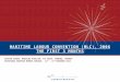 Maritime  labour  convention (mlc), 2006 the first 3 months