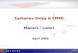 Sarbanes Oxley & CMMI Mazars / Lamri April 2005