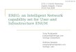 EREG: an Intelligent Network capability set for User and Infrastructure ENUM