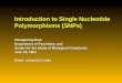 Introduction to Single Nucleotide Polymorphisms (SNPs) Zhongming Zhao