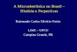 A Microeletrônica no Brasil – História e Perpectivas