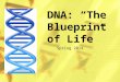 DNA: “The Blueprint of Life”