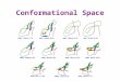 Conformational Space