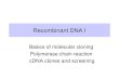 Recombinant DNA I