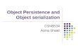 Object Persistence and Object serialization