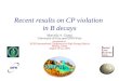 Recent results on CP violation  in B decays