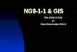 NG9-1-1 & GIS