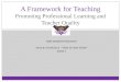 A Framework for Teaching Promoting Professional Learning and Teacher Quality
