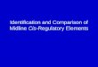 Identification and Comparison of Midline  Cis- Regulatory Elements