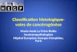 Classification histologique- voies de cancérogénèse
