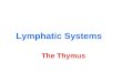 Lymphatic Systems