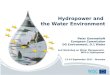 Hydropower and  the Water Environment Peter Gammeltoft European Commission