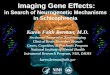 Imaging Gene Effects: in Search of Neurogenetic Mechanisms in Schizophrenia