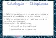 Citologia - Citoplasma