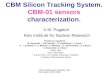 CBM Silicon Tracking System. CBM-01 sensors  characterization