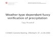 Weather type dependant fuzzy verification of precipitation