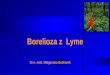 Borelioza z  Lyme