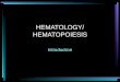 HEMATOLOGY/ HEMATOPOIESIS