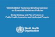 Commission on Intellectual Property Rights, Innovation and Public Health