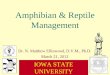 Amphibian & Reptile Management
