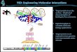 YSD: Engineering Molecular Interactions