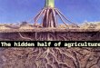 The hidden half of agriculture