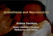 Anaesthesia and Neurotoxicity