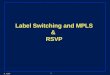 Label Switching and MPLS &  RSVP