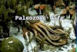 Paleozoic Life