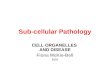 Sub-cellular Pathology