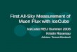 First All-Sky Measurement of Muon Flux with IceCube