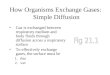 How Organisms Exchange Gases:  Simple Diffusion
