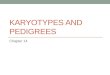 Karyotypes  and Pedigrees