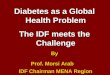 Diabetes as a Global Health Problem  The IDF meets the Challenge  By