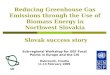 Reducing Greenhouse Gas Emissions through the Use of Biomass Energy in Northwest Slovakia