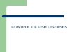 CONTROL OF FISH DISEASES